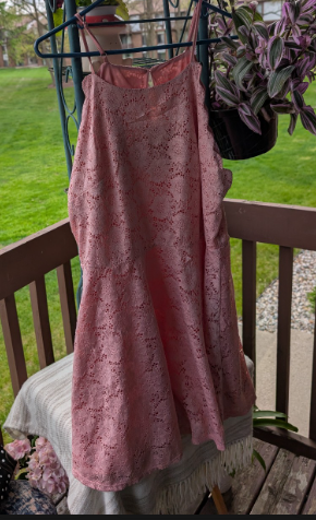 "Roots First" Blush Lace Dress